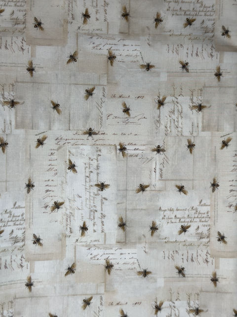 Bees and Letters fabric