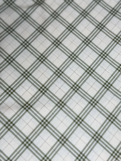 Sage Plaid fabric