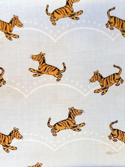 Bouncing Beginnings fabric
